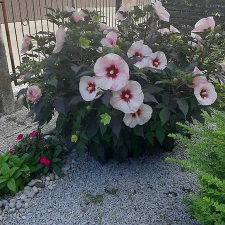 Holiday Livada * Ljubljana